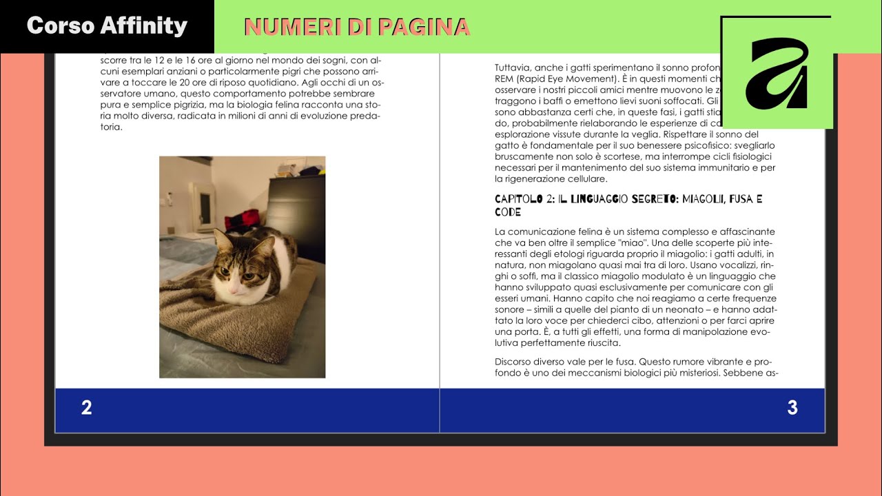 Numeri di pagina AUTOMATICI con Affinity Layout (usando la pagina mastro)