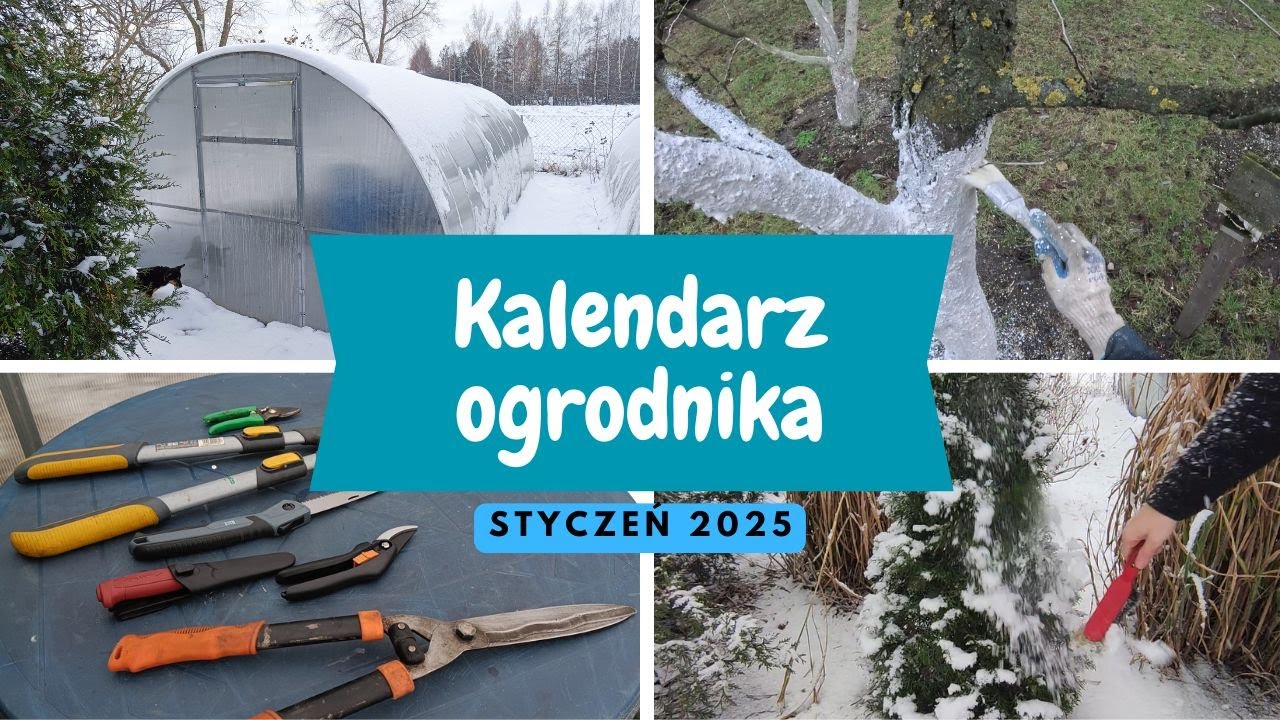 15 prac w ogrodzie w styczniu, czyli Kalendarz Ogrodnika 2025