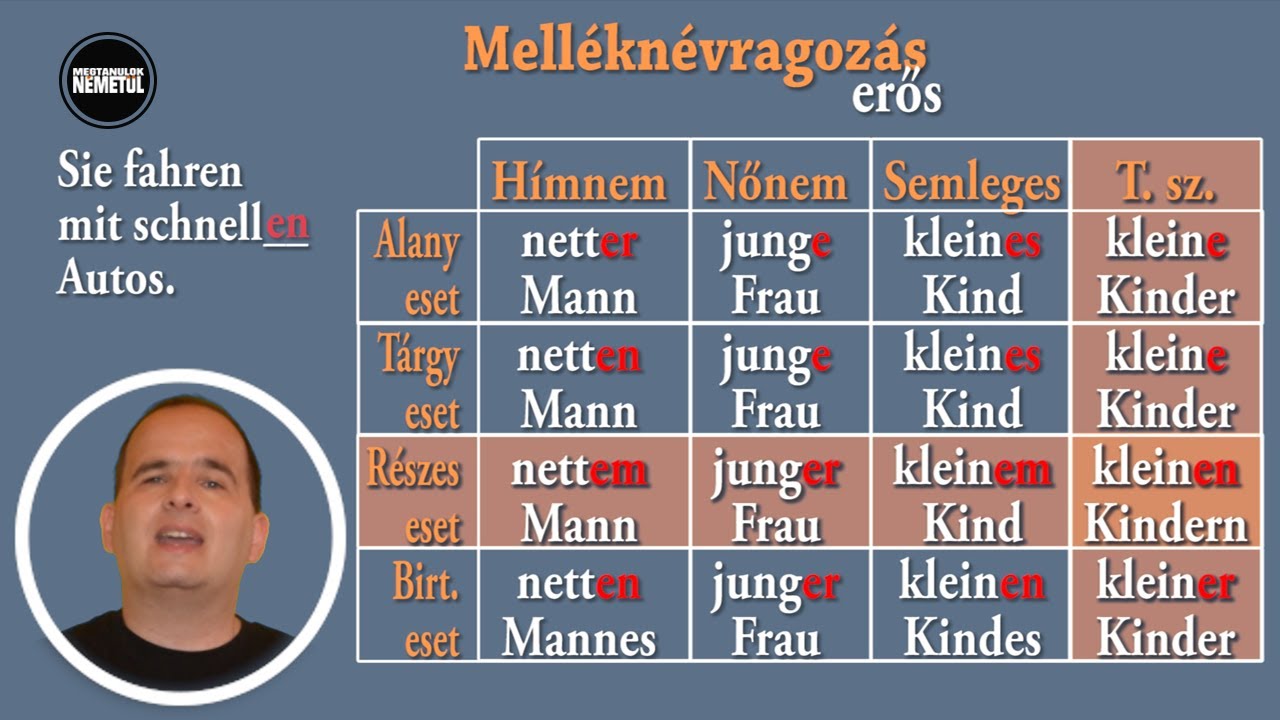 A német melléknévragozás 1. - erős (megtanuloknemetul.hu)