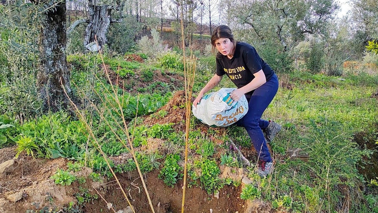 Preparando la finca de Richard, mirar lo que hay en la fuente que recuperamos