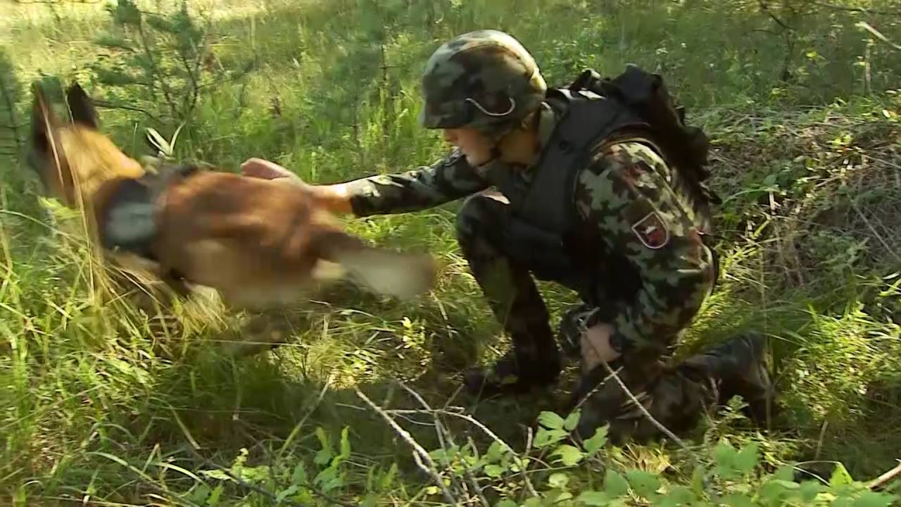 Specializirana enota voja&scaron;ke policije / Specialized Unit Military Police (SEVP)