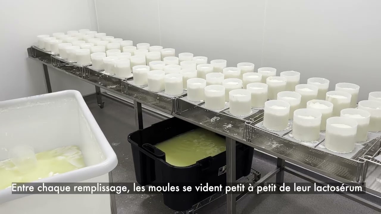 La fabrication du Camembert de Montignies | La ferme Pype-Lievens