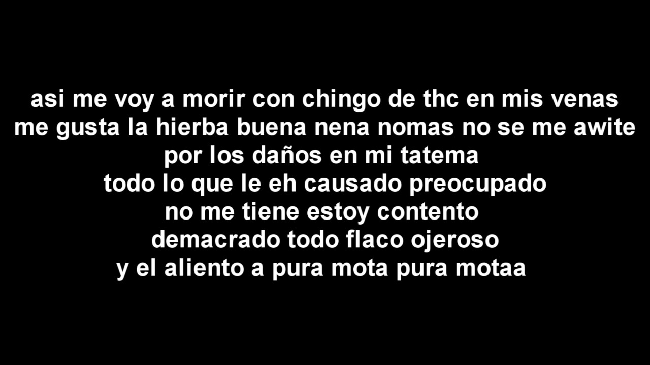 Mal Ejemplo - Santa Grifa Letra
