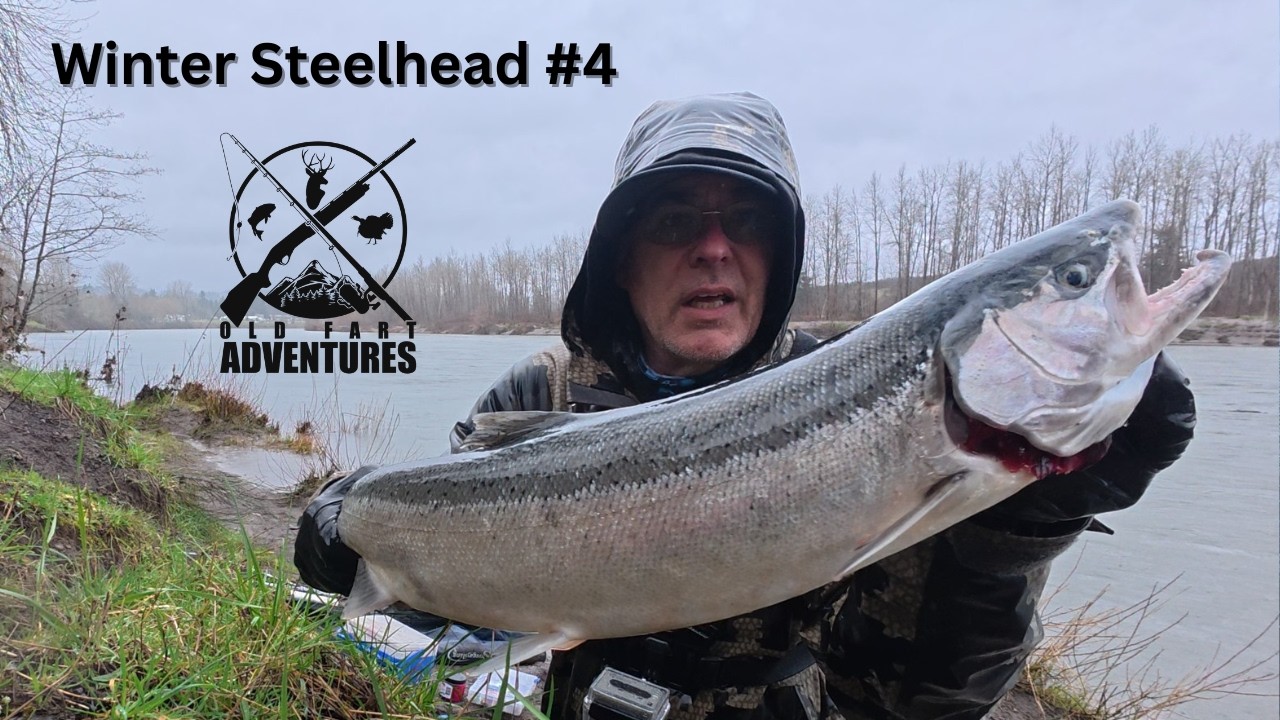 Winter Steelhead 4