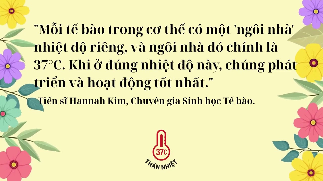 Những kiến thức về th&acirc;n nhiệt sau sẽ l&agrave;m thay đổi cuộc sống của bạn m&atilde;i m&atilde;i.