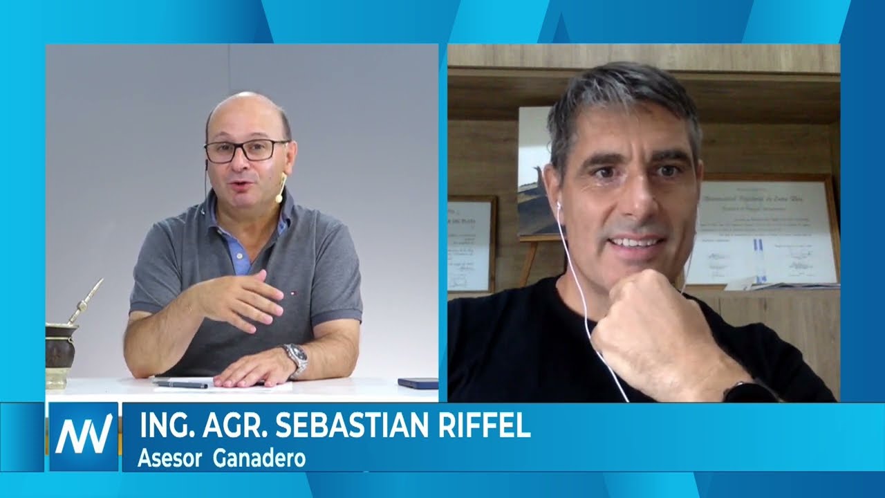 Sebastián Riffel - Asesor Ganadero 06-01-2024