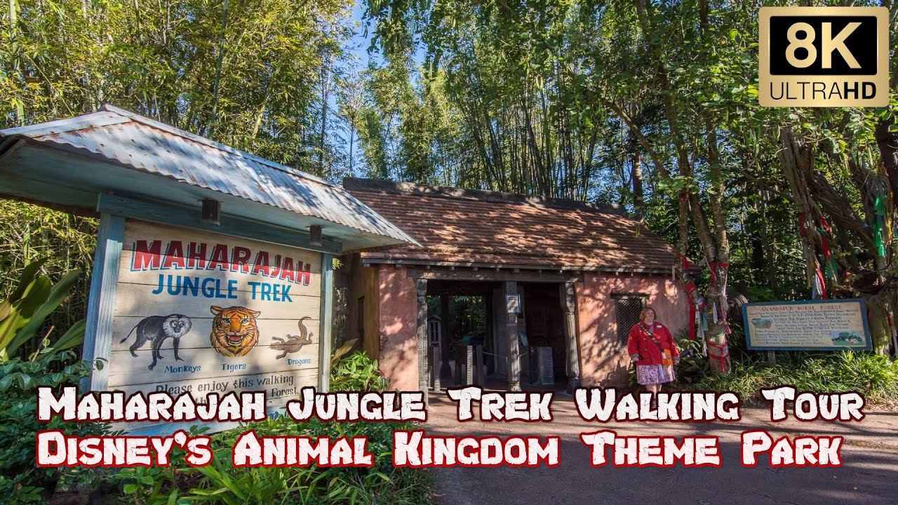 First Person 8K POV: Maharajah Jungle Trek at Disney's Animal Kingdom (Orlando, FL)