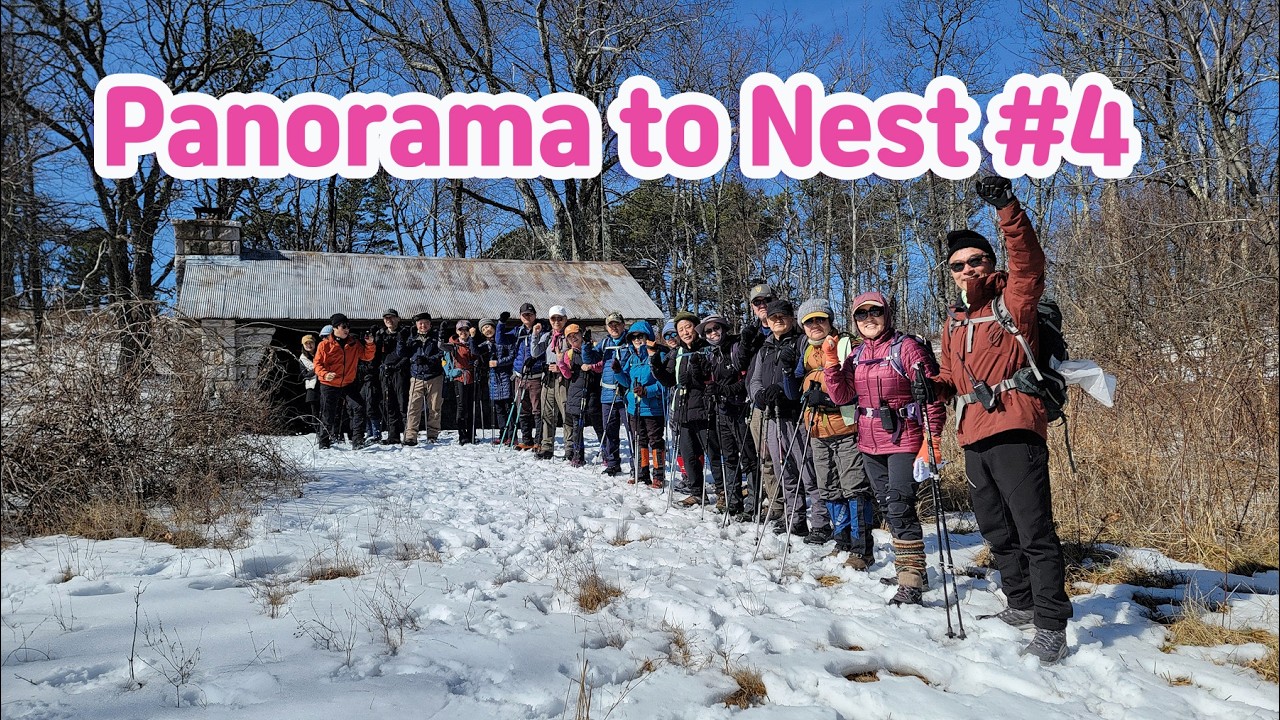 Panorama to Nest #4 Hiking
