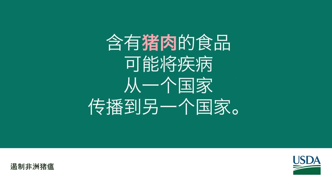遏制非洲猪瘟