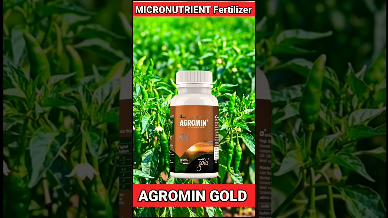 Agromin gold micronutrient Fertilizer | Agromin gold | #short #shorts