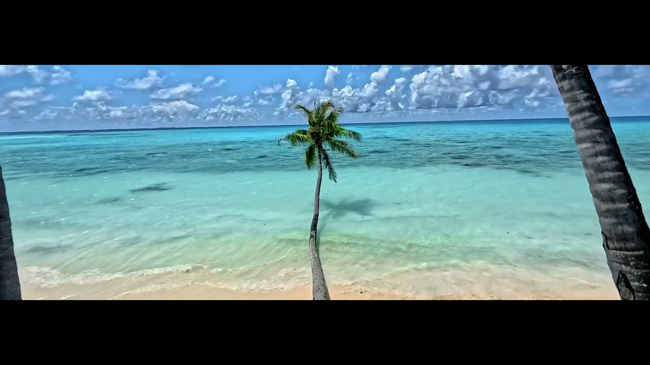 Fakarava Tuamotu  4K