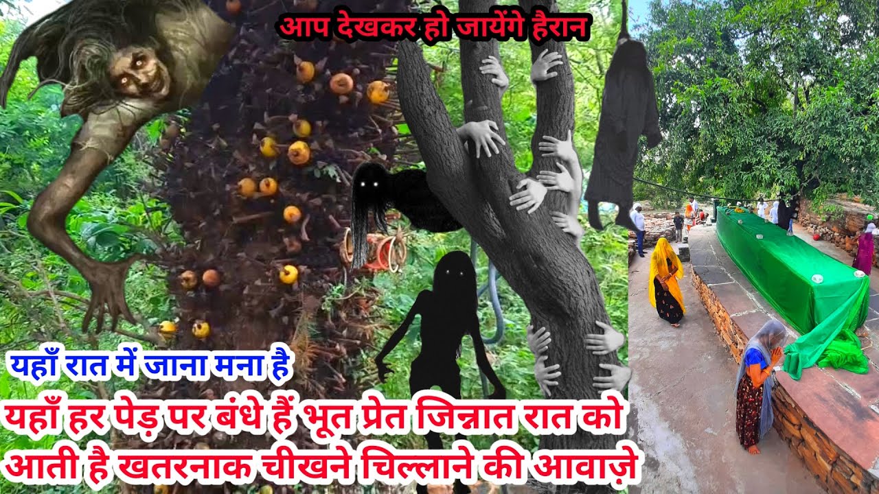 हज़रत नौ गाज़ी बाबा की दरगाह 9 गज की दरगाह चित्तौड़गढ़ Dargah Nau Gazi Peer Mission E Aulia