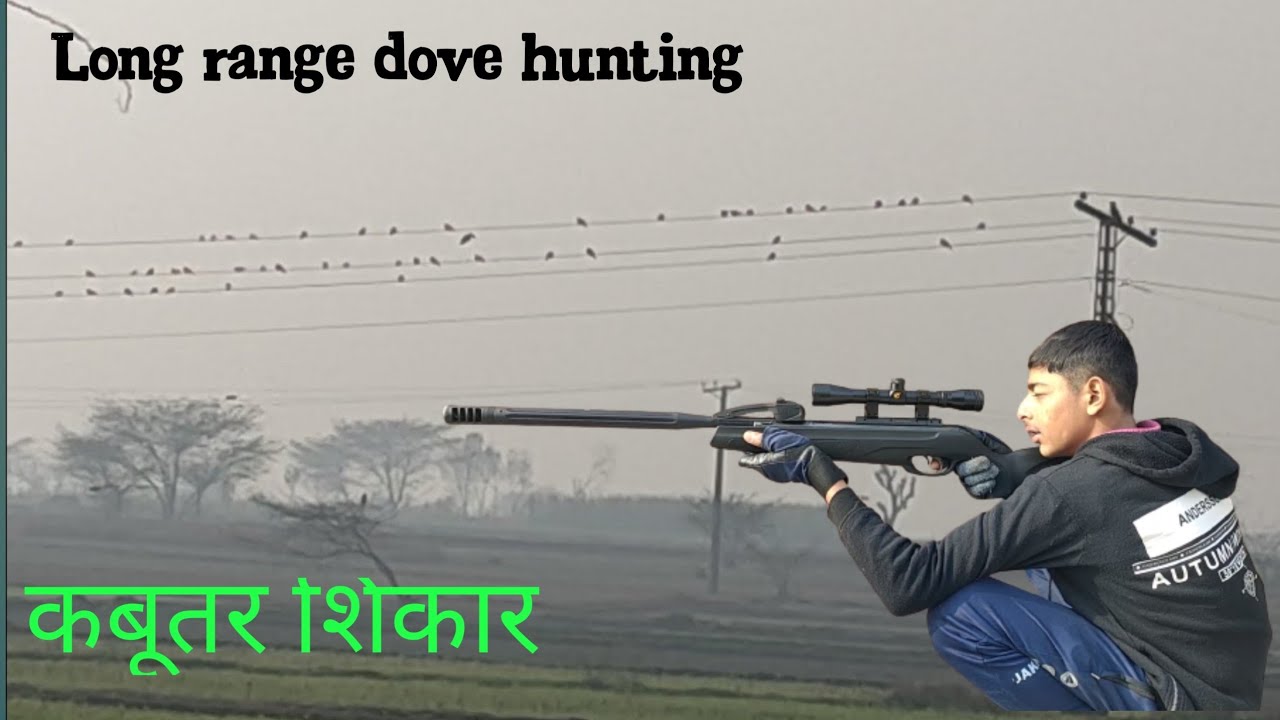 Long range dove hunting 2023 dead shot hunting with Air Gun| MZ Birds hunting