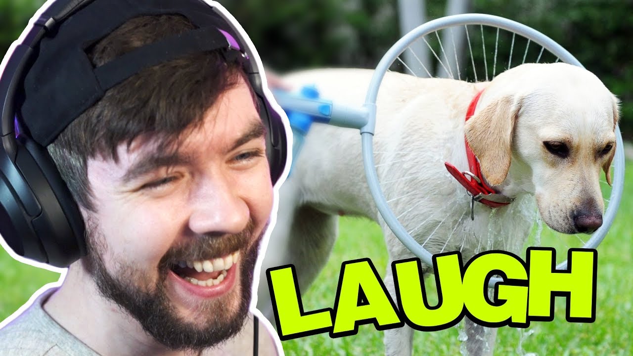 What Are They DOING To That Poor Dog? - Jacksepticeyes Funniest Home Videos