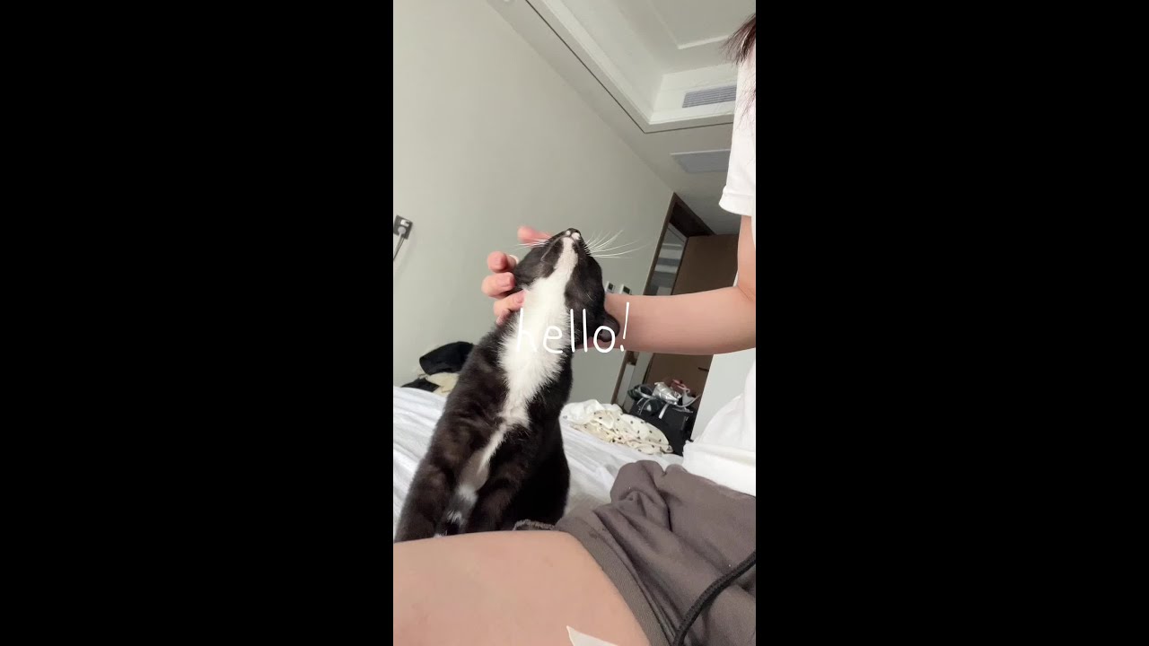 174/120斤美食博主不拍视频日常#随手发一个小日常 #日常vlog #记录我的生活碎片 #在平凡日子里热爱生活 #一天吃什么