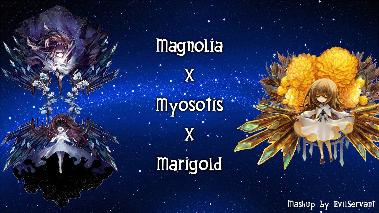 [Mashup] Magnolia x Myosotis x Marigold