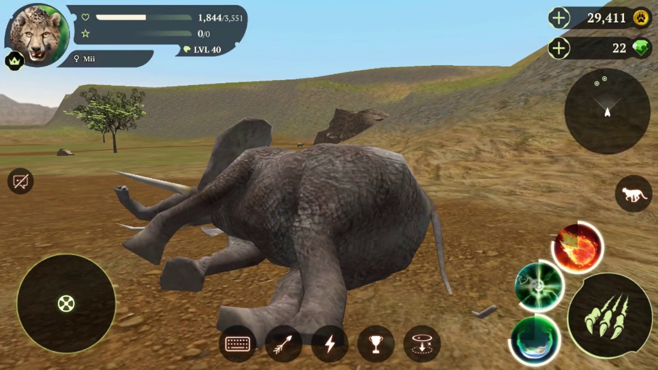 The Cheetah Online Simulator