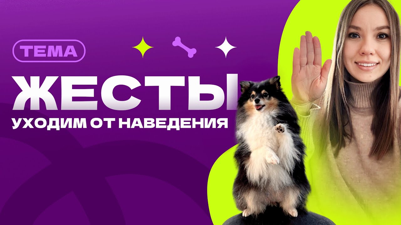 КАК УЙТИ ОТ НАВЕДЕНИЯ? КОГДА УБИРАТЬ КУСОК? ПОЧЕМУ СОБАКА НЕ ОБУЧАЕТСЯ