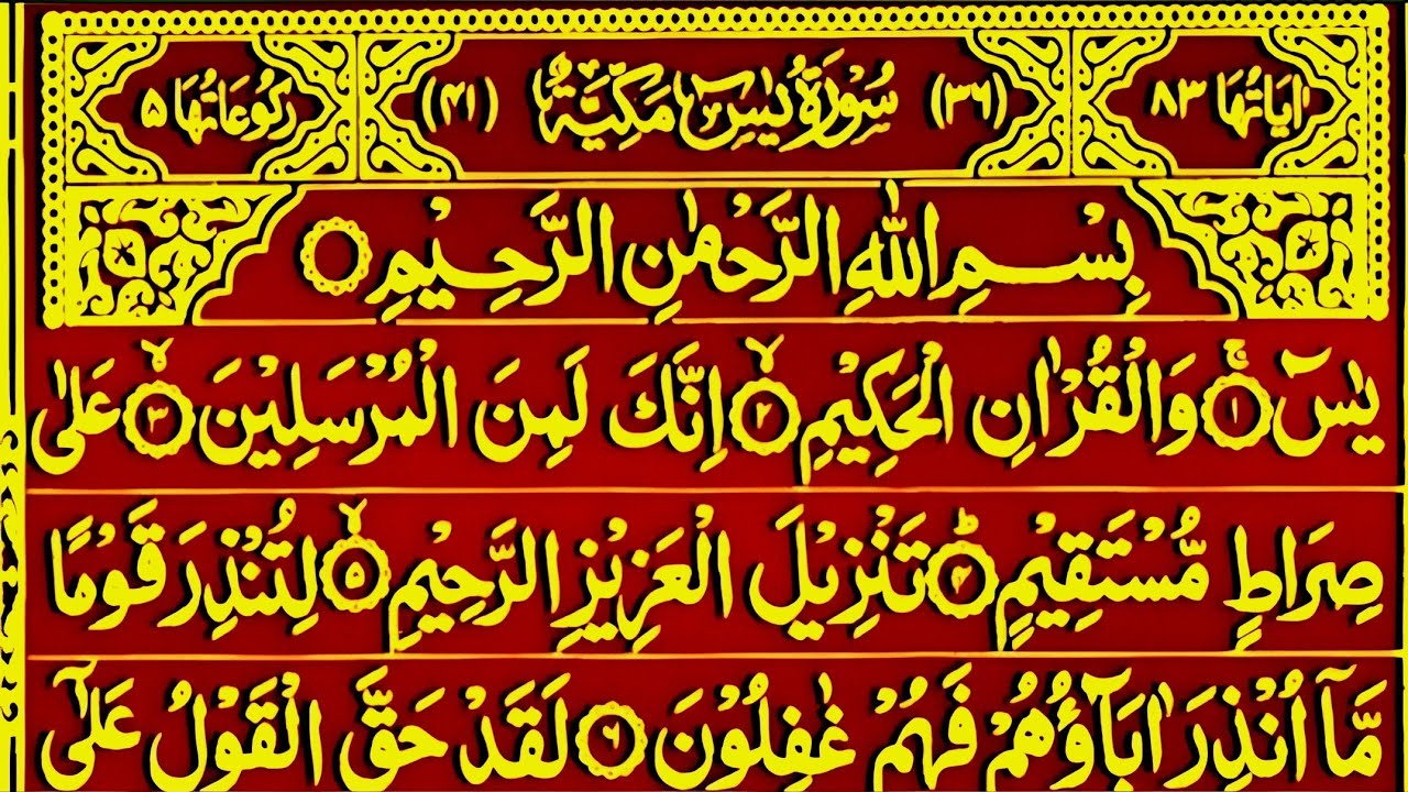 Surah Yasin Surah Rahman | Beautiful Recitation Surah Yaseen Surah Rahman Full | Quran Tilawat | 195