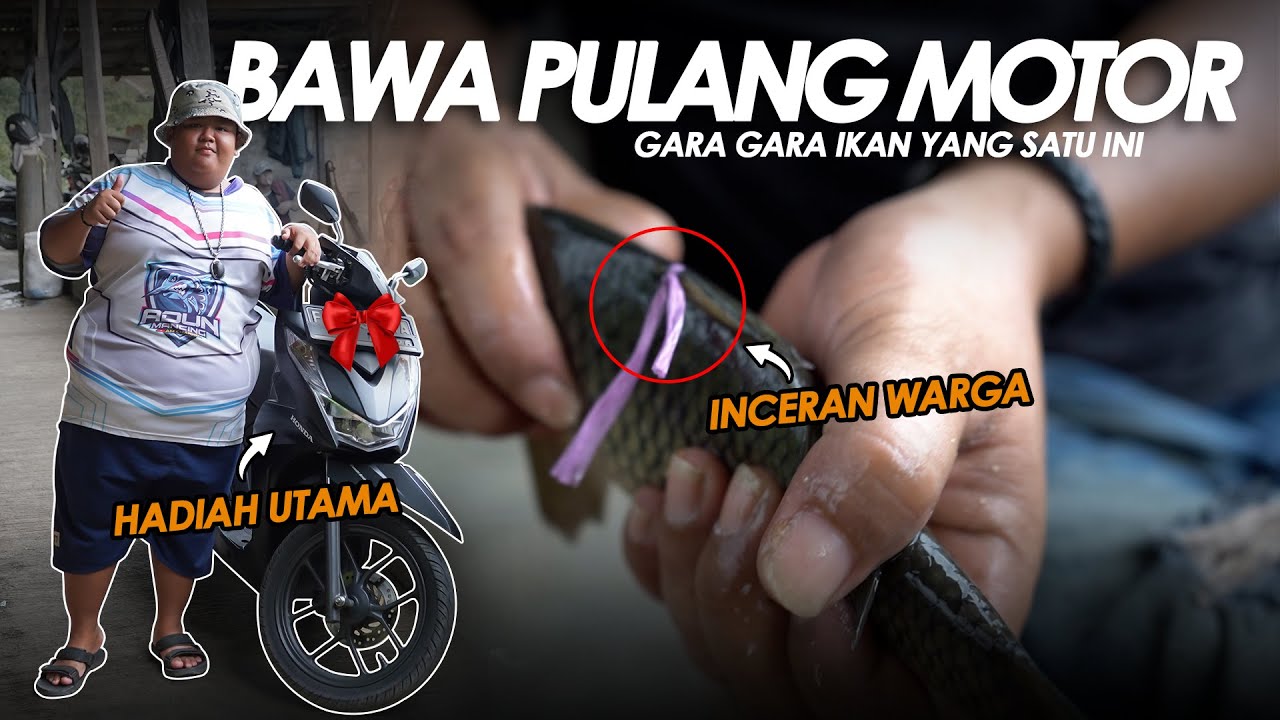 MODAL SATU JUTA BISA BAWA PULANG MOTOR !! WAJIB DAPET IKAN INI || Am#544