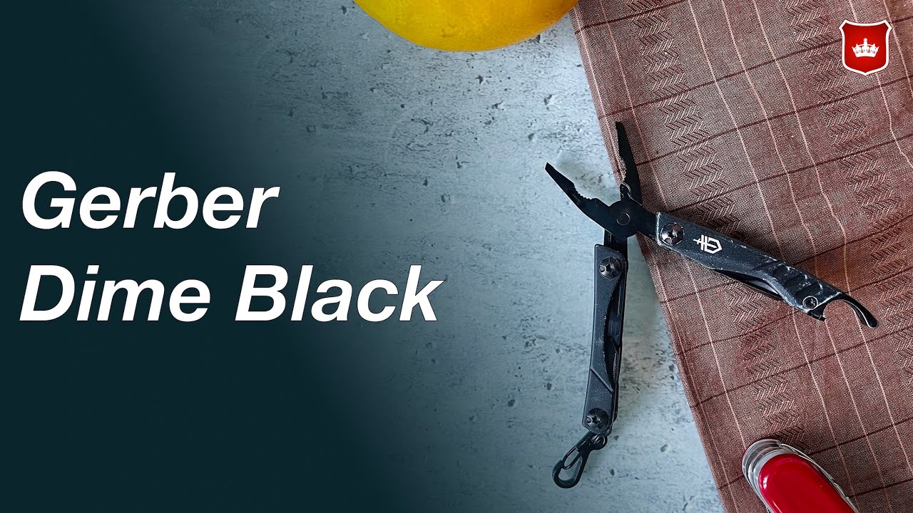 Top 3 najciekawsze fakty na temat Gerbera Dime Black
