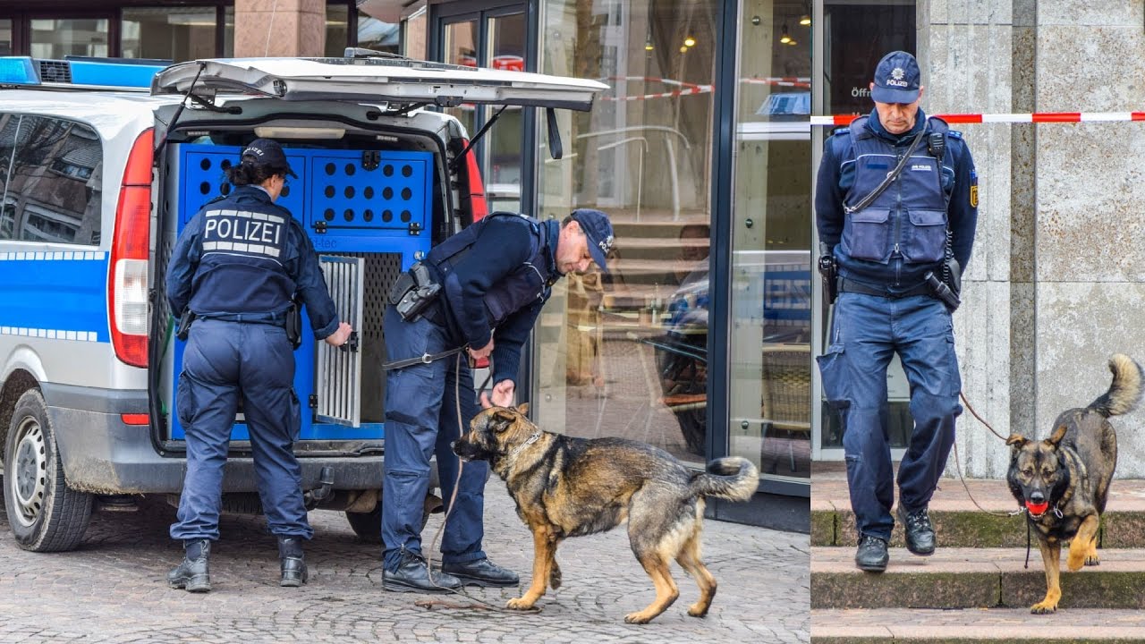 ++ BOMBENDROHUNG in GAGGENAU ++ Rathaus wird abgeriegelt | POLIZEI mit SPÜRHUNDEN im EINSATZ