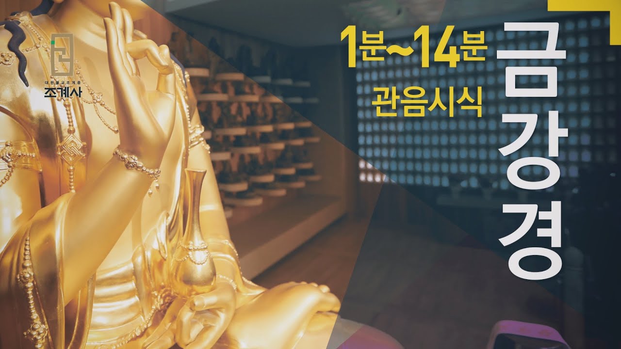 조계사 금강경 #관음시식 #신중기도
