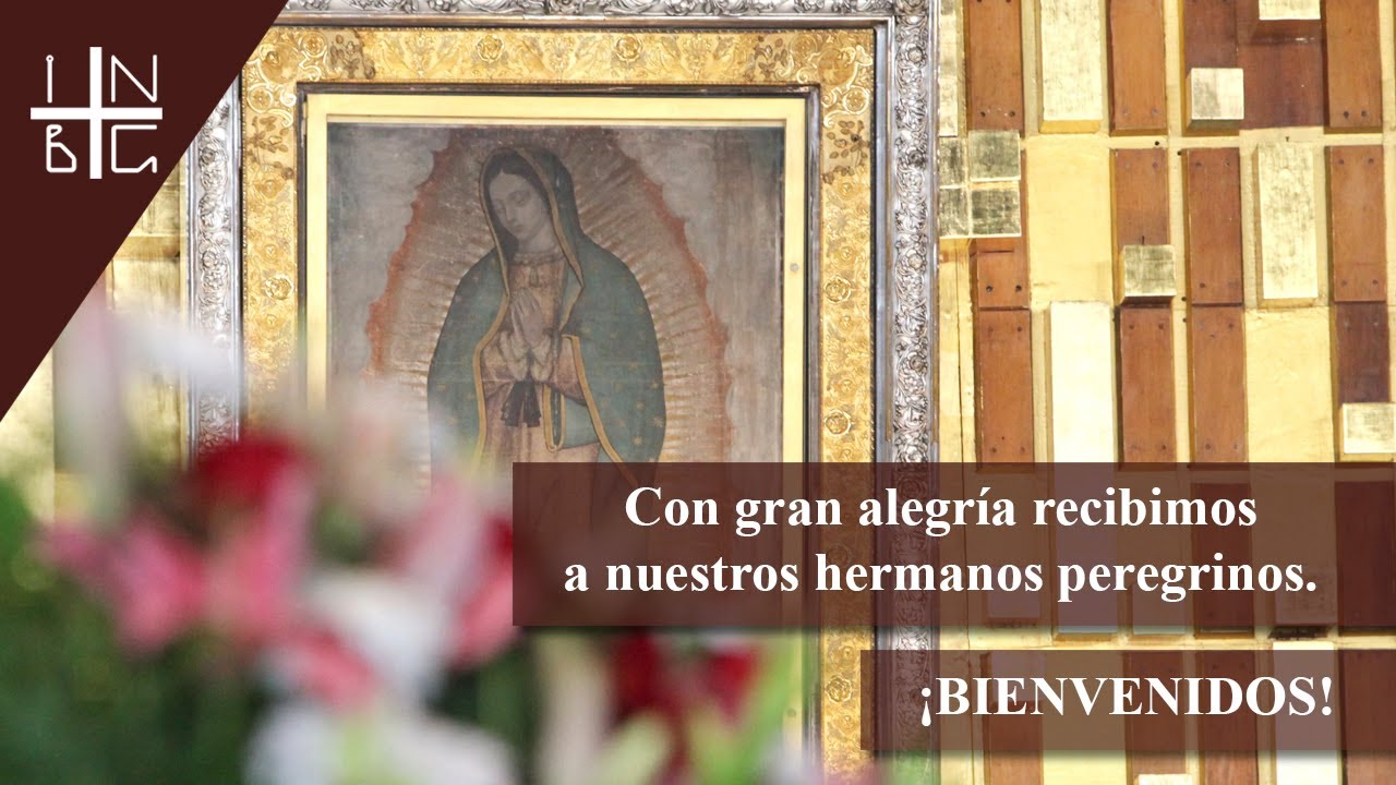 Peregrinación: Diócesis de Tenancingo, 14 de marzo de 2024, 11:00 h.