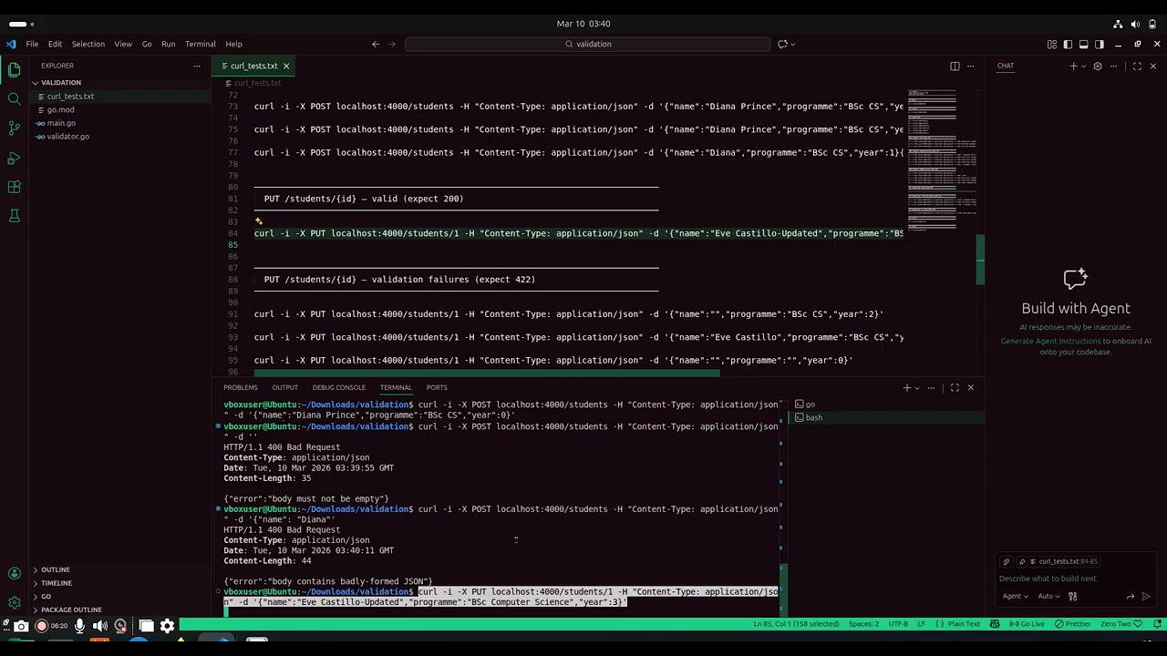 API Final Project + Validation Lab