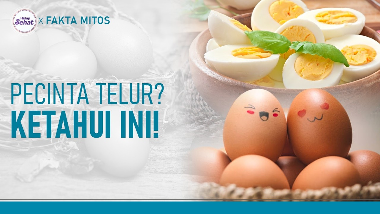 Fakta Telur yang Tidak Banyak Orang Tahu | Hidup Sehat tvOne