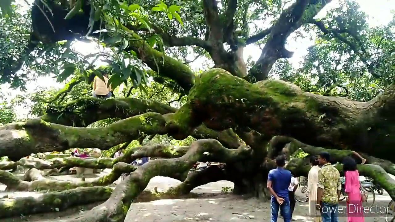 ঠাকুরগাঁও জেলার বালিয়াডাঙ্গী উপজেলা পরিষদ।Thakurgaon District, Baliadangi Upazila's 8 Unions