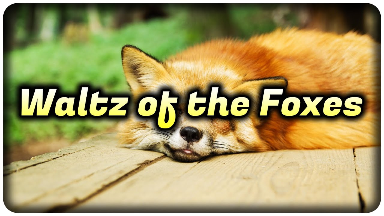 Waltz of the Foxes