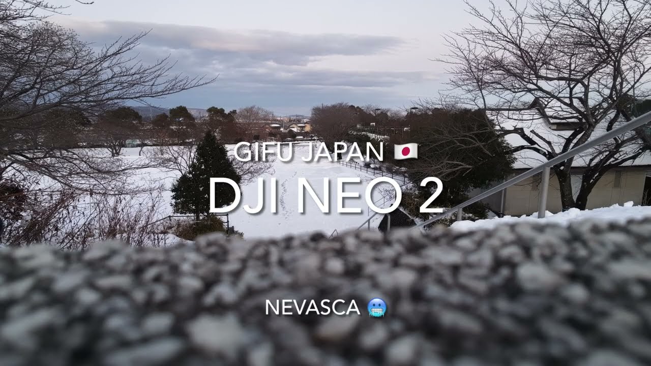 #djineo2