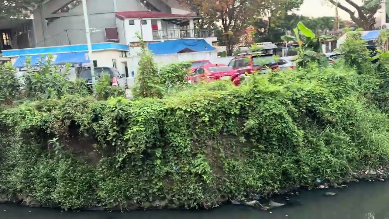 Maagang ronda