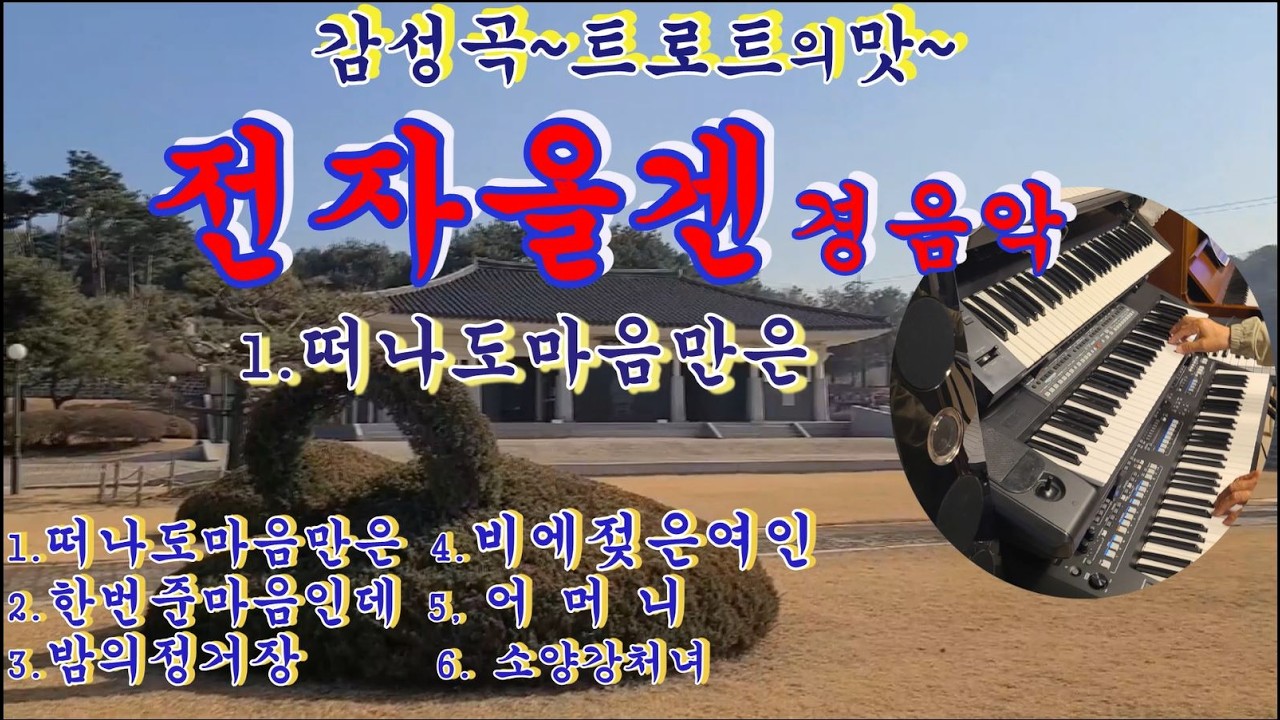 감성곡   / 트롯트의맛 /  전자올겐경음악  /  떠나도마음만은  /  한 번준마음인데  / 밤의정거장/비에젖은여인/어머니/소양강처녀