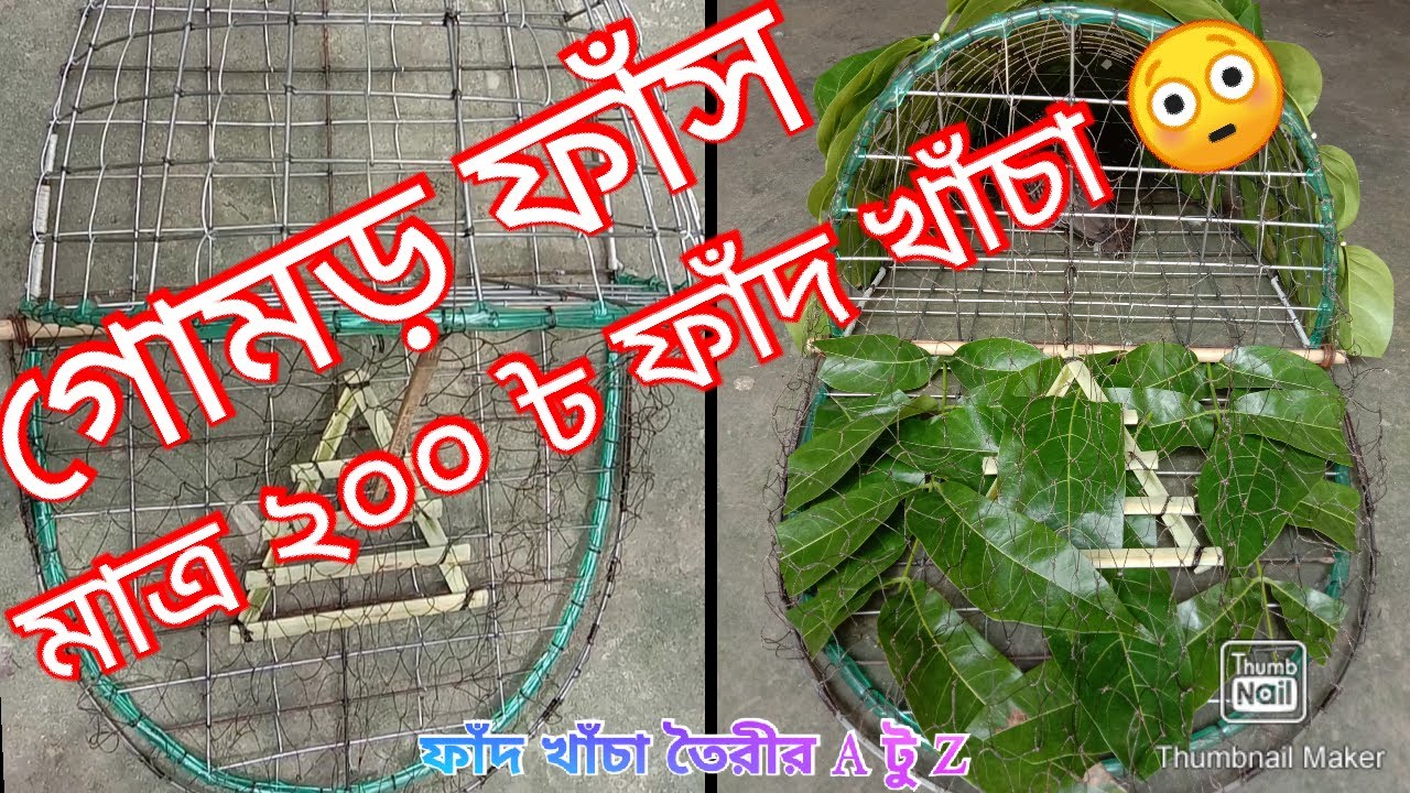 ফাঁদ খাঁচা তৈরী A টু Z | মাত্র দুইশো টাকায় ফাঁদ খাঁচা তৈরী করুন । Bird Trapped |