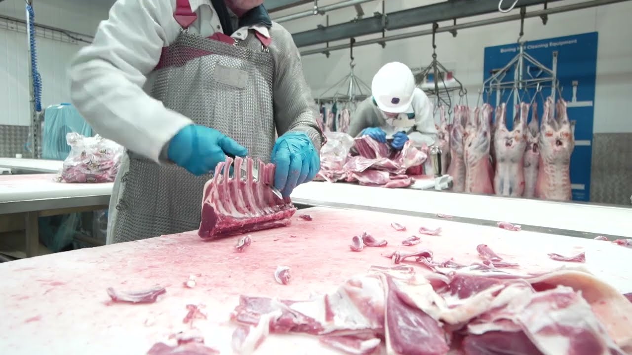 Pilgrim's UK Lamb - Lantra Awards Food Skills Cymru Large Business Category winner 2022