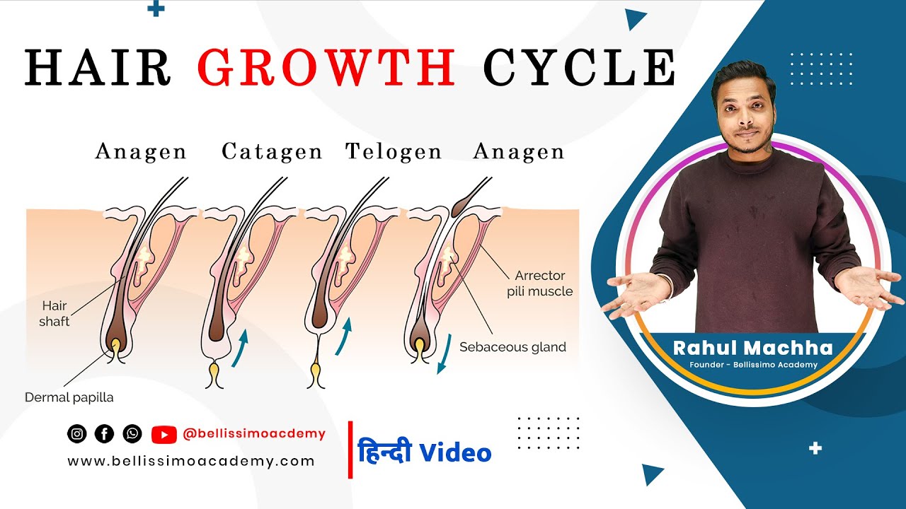 Hair growth cycle | What is Hair growth Cycle | Rahul Macha | Hair growth cycle types | Anagen Phase