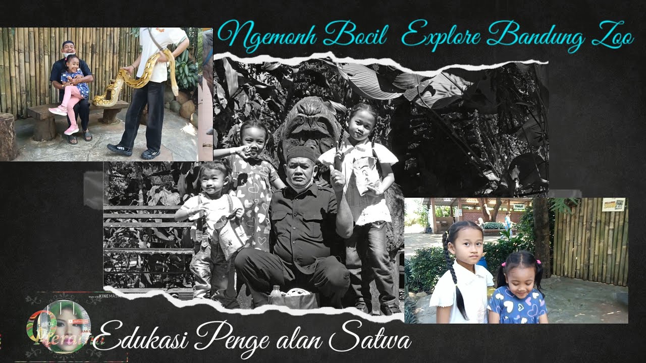 Main melihat macam2  hewan liar ||Ngemong bocil part2  