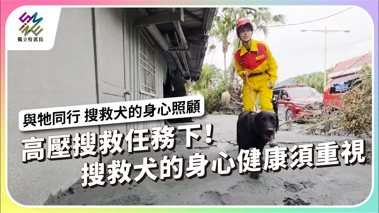 高壓搜救任務下！搜救犬的身心健康必須被重視｜與牠同行 搜救犬的身心照顧｜公視 