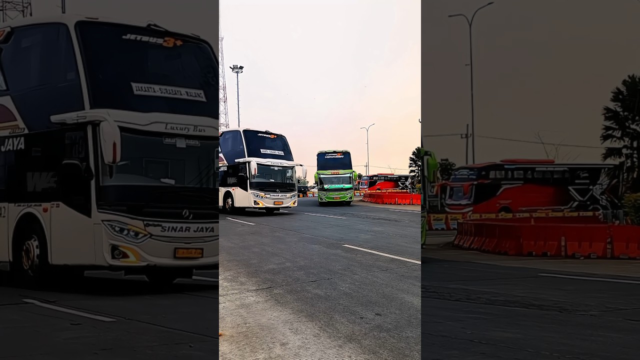 momen langka ,bertemunya 2 bus premium SDD ,sinar jaya dan gunung harta #sinarjaya #gunungharta #fyp