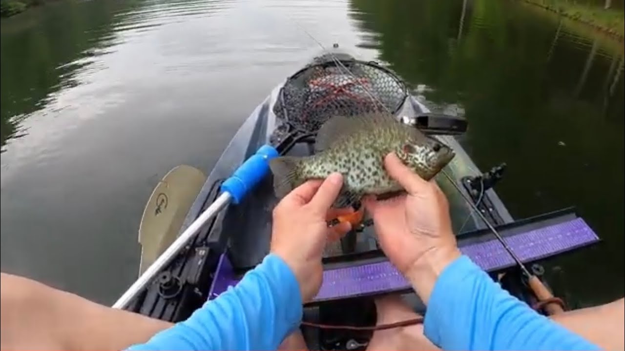 Greenbo Lake - epic day fly fishing for bluegills 