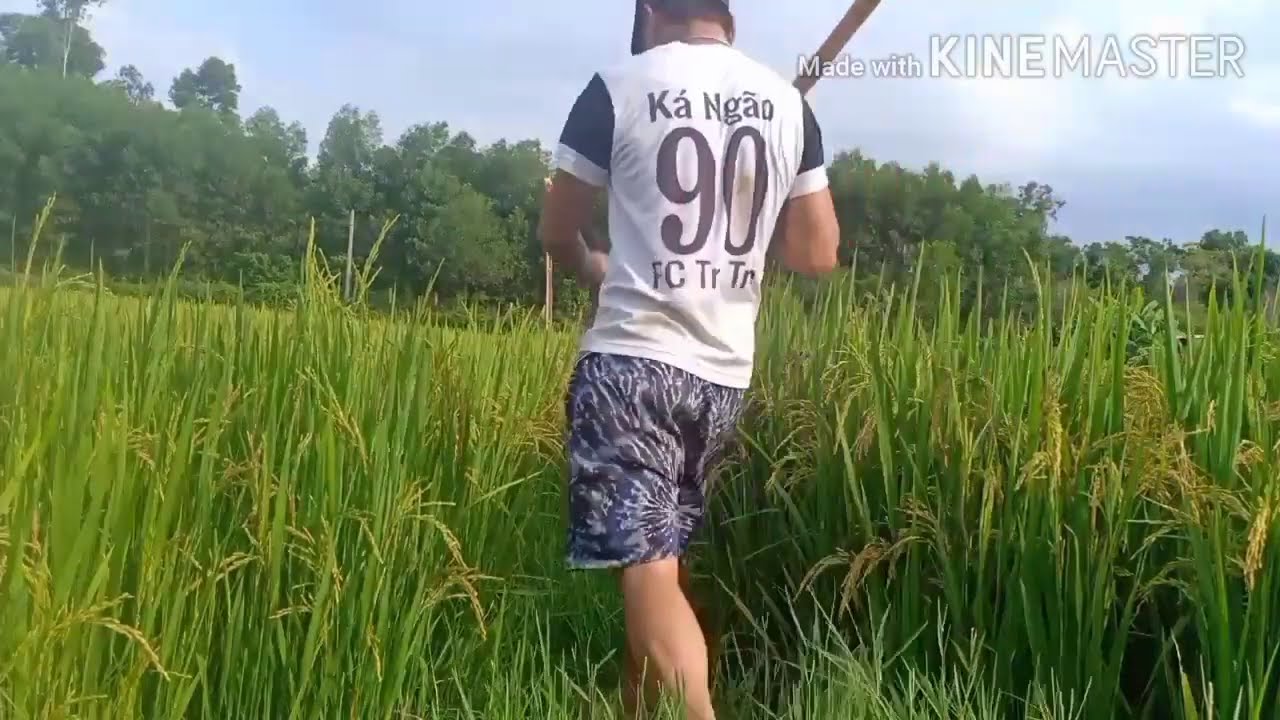 Hongcao vlog. Đừng n&oacute;i lời chia tay khi em vẫn c&ograve;n y&ecirc;u #chaugiakiet