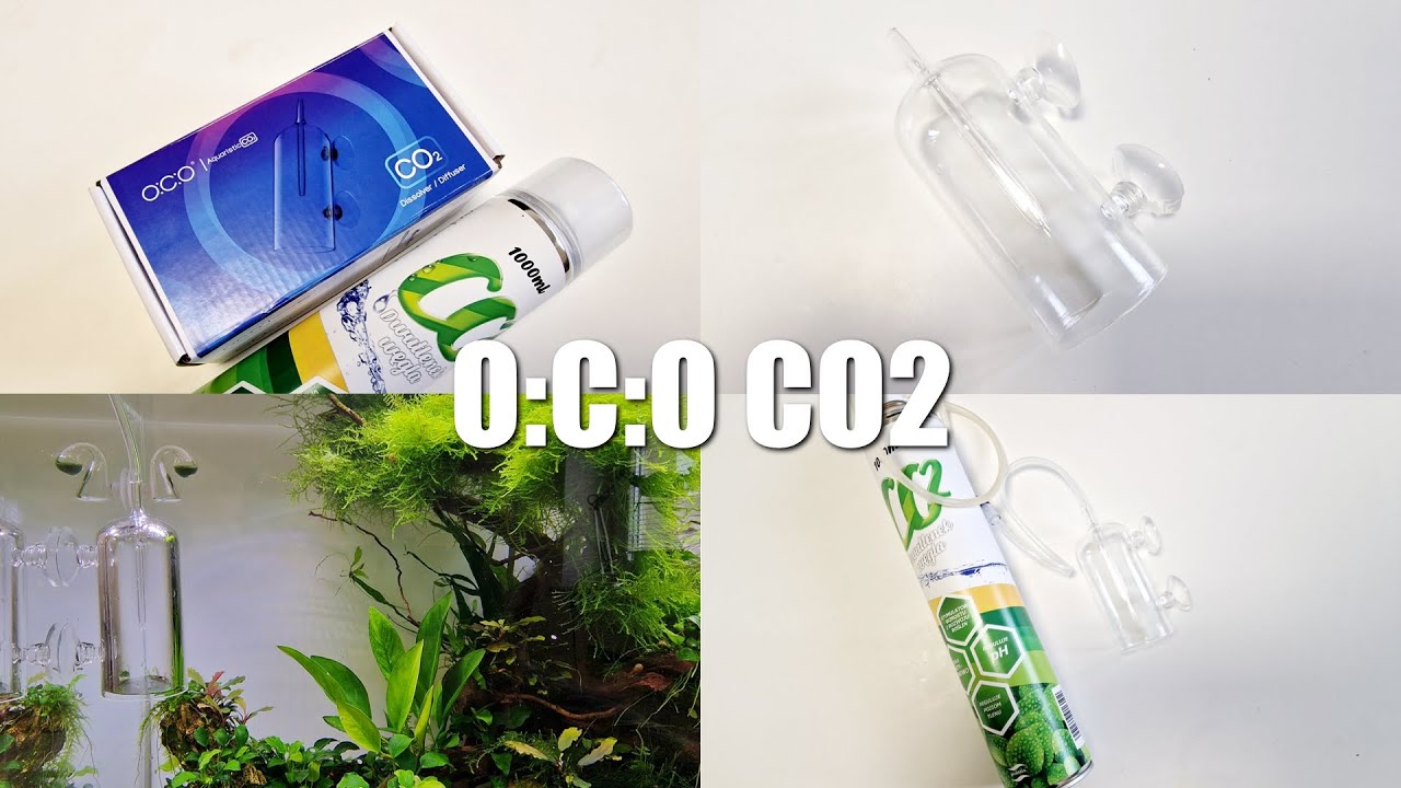 O:C:O Aquaristic CO2 - Szklany dzwon do CO2 - najpiękniejszy na świecie :)