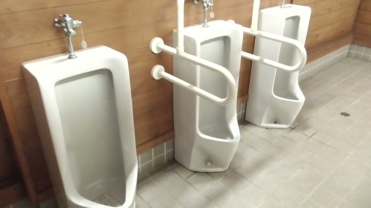 堺野沢ため池公園 公衆トイレ(男性トイレ)🚽（青森・五所川原市）※冬季閉鎖　　WC Japanese Toilet, Restroom (Men's room)　Flush