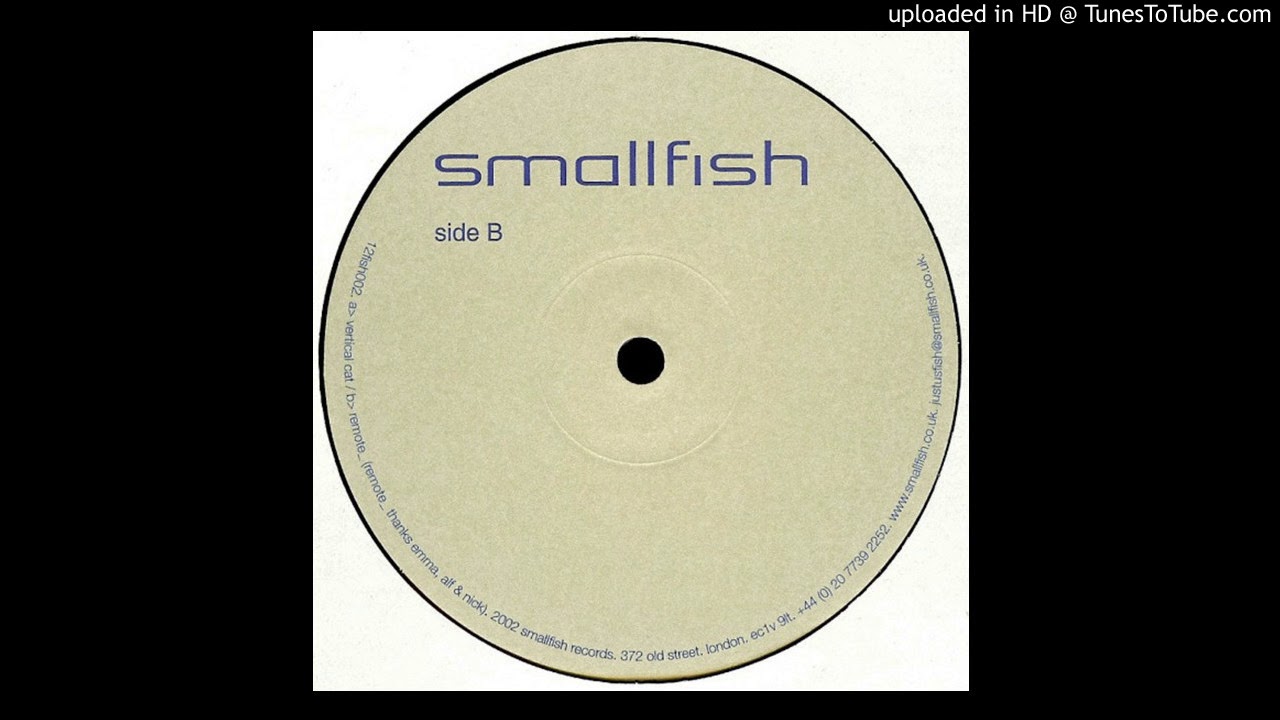 Remote_ - Face Up [12FISH002]