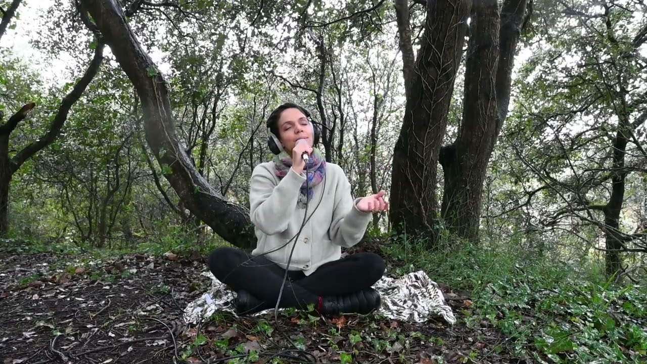 Being Present | 11-Min Calm Voice Meditation in Nature