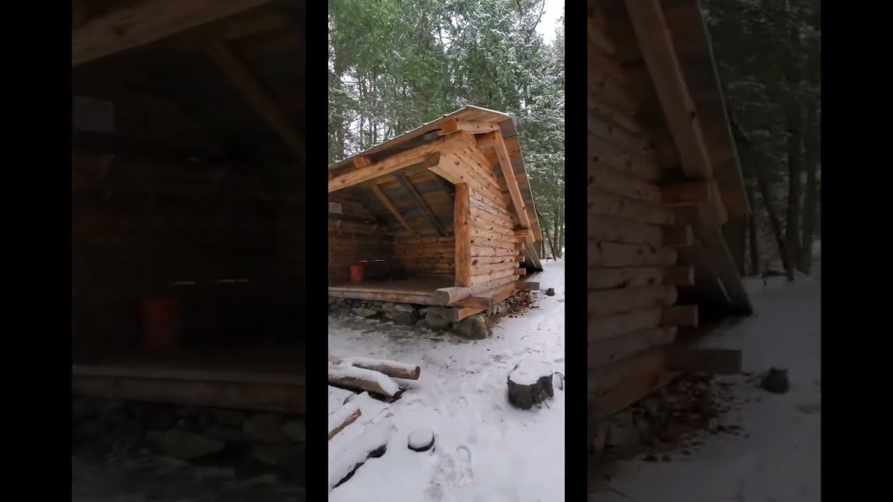 Silent Winter Hiking In the Woods