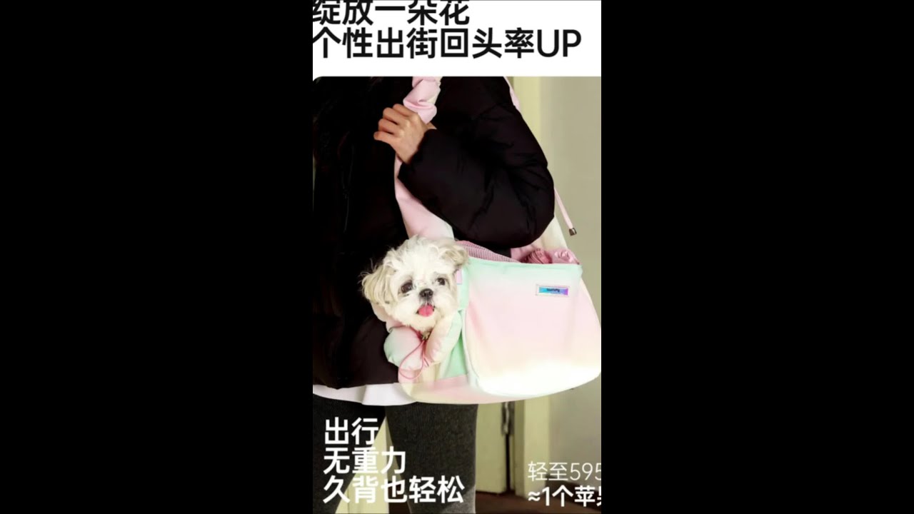 Touchdog/它它幻彩猫狗外出包便携单肩斜挎包轻便高颜值 #猫狗外出包 #单肩斜挎包 #宠物包 #高颜值 #便携单肩