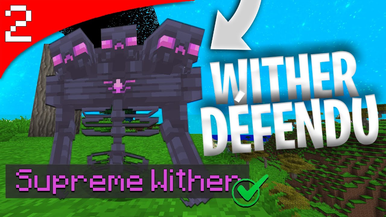 J'AI RÉUSSI À DÉFENDRE LE WITHER LE PLUS PUISSANT SUR PALADIUM ?!  - [PALADIUM V11  - EP 2]